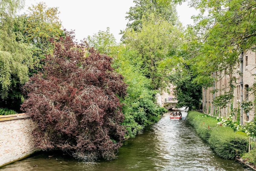 Picture 19 for Activity From Brussels: Bruges and Ghent in a Day Guided Tour