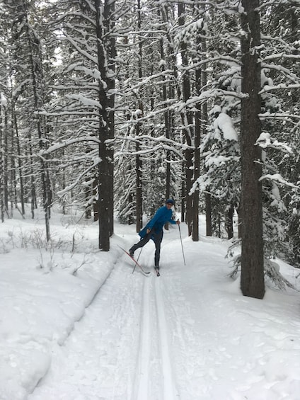 Picture 4 for Activity Lake Louise: Cross Country Skiing Lesson with Tour