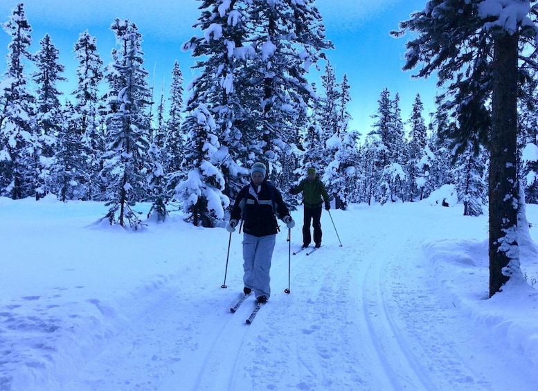 Picture 2 for Activity Lake Louise: Cross Country Skiing Lesson with Tour