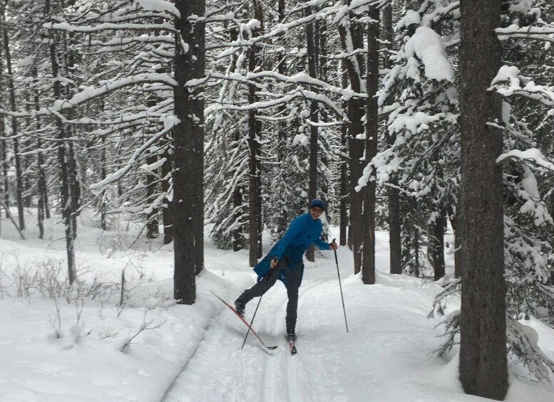 Picture 4 for Activity Lake Louise: Cross Country Skiing Lesson with Tour