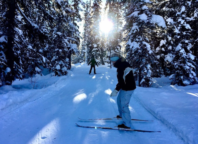 Picture 1 for Activity Lake Louise: Cross Country Skiing Lesson with Tour