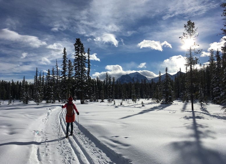 Lake Louise: Cross Country Skiing Lesson with Tour