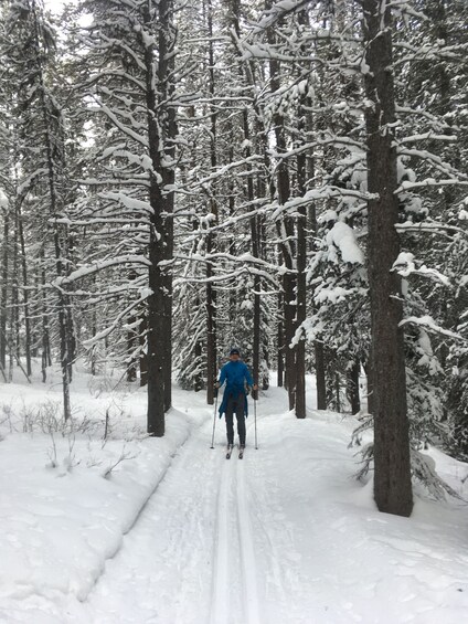 Picture 3 for Activity Lake Louise: Cross Country Skiing Lesson with Tour