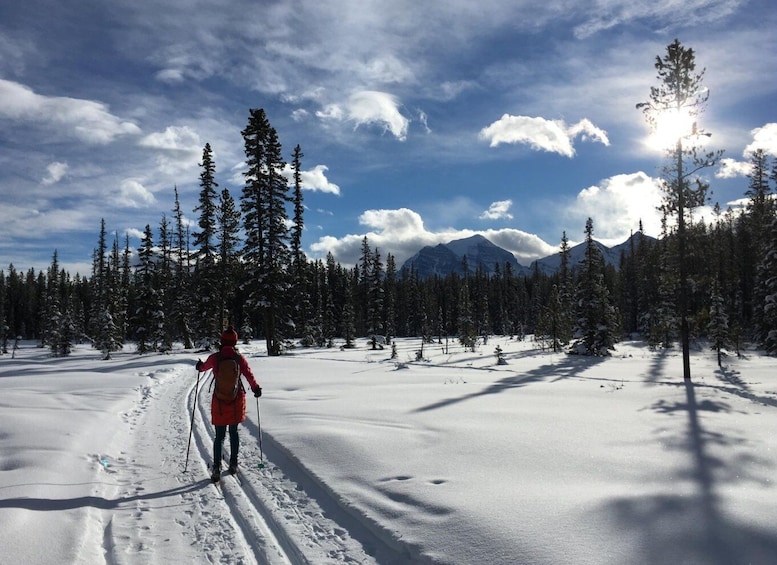 Lake Louise: Cross Country Skiing Lesson with Tour