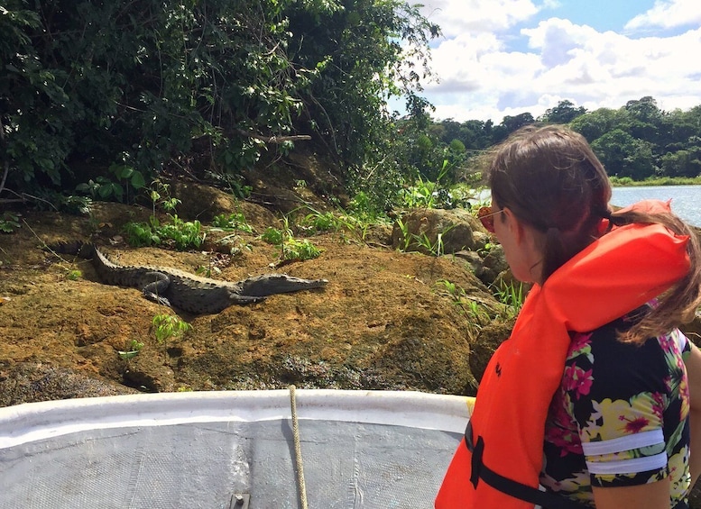 Picture 4 for Activity From Panama City: Gatun Lake and Monkey Island Tour