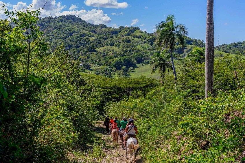 Picture 1 for Activity Puerto Plata: Zip Line Adventure and Horseback Ride