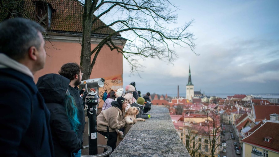 Tallinn: 1.5-Hour Old Town Walking Tour