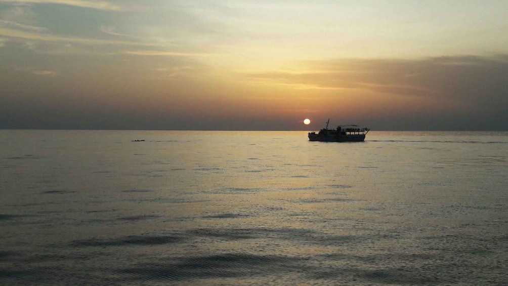 Picture 1 for Activity Poreč: Sunset Dolphin Safari Cruise with Drinks