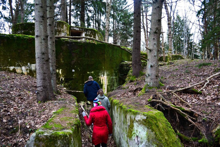 Picture 7 for Activity Tallinn: Coastal Cliffs and Rummu Submerged Quarry Day Tour