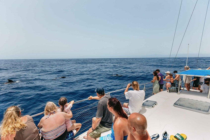 Picture 18 for Activity Costa Adeje: Whale Watching Catamaran Tour with Drinks