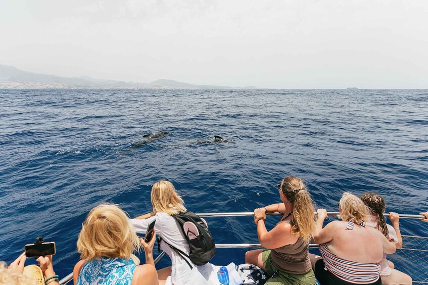 Picture 11 for Activity Costa Adeje: Whale Watching Catamaran Tour with Drinks