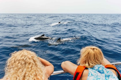 Costa Adeje: Tour in catamarano per l'avvistamento delle balene con bevande