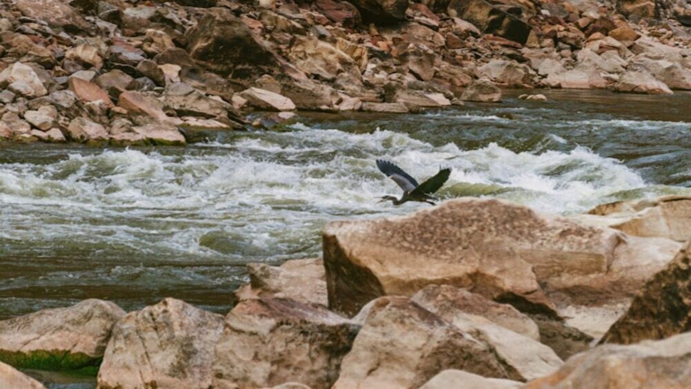Full-Day Whitewater Rafting Trip Through Cataract Canyon