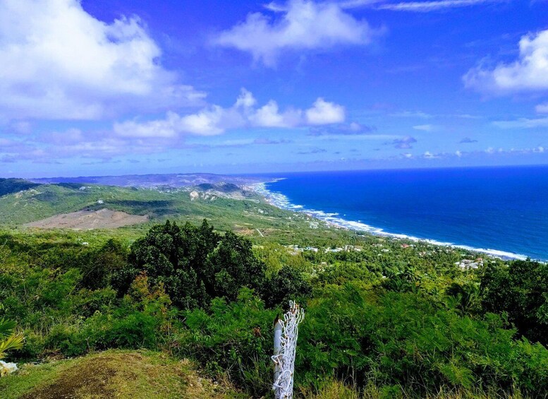 Picture 5 for Activity Barbados: Rural Tracks and Trails Guided E-Bike Tour