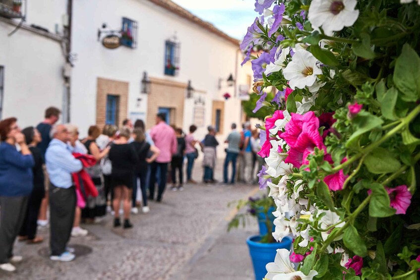 Picture 5 for Activity Córdoba: Guided Tour of the Patios