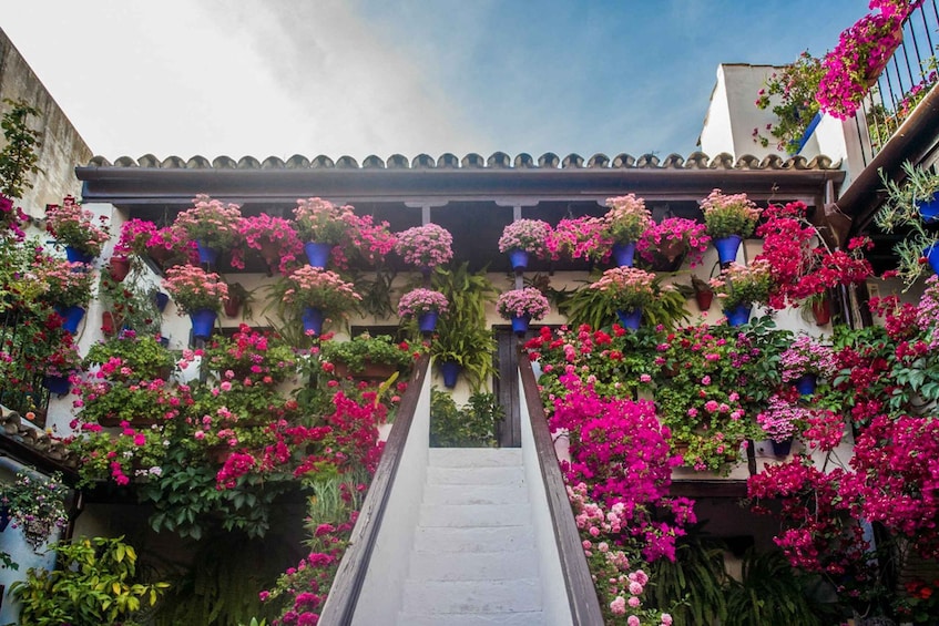 Córdoba: Guided Tour of the Patios