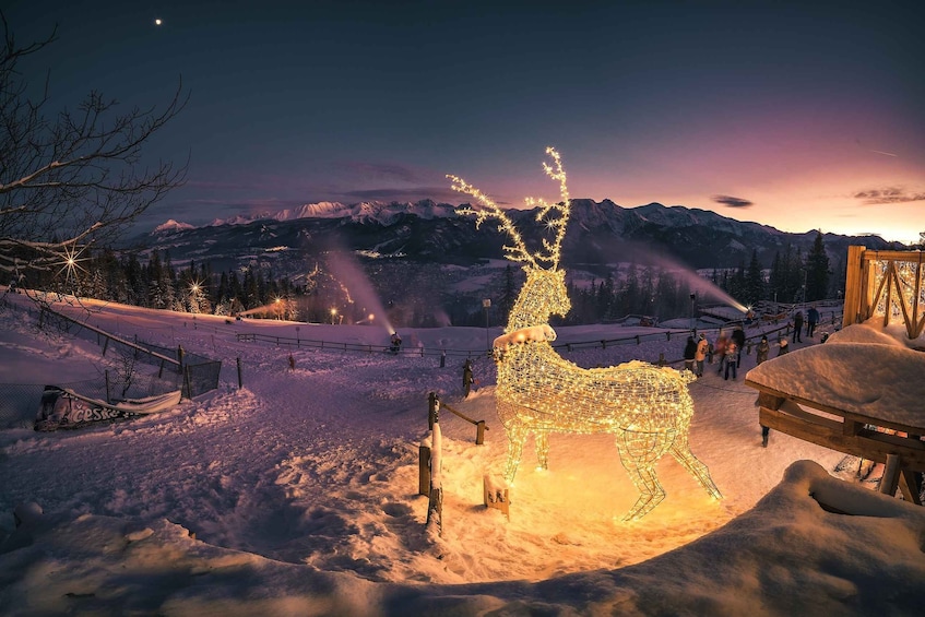 Picture 13 for Activity Krakow: Zakopane and Thermal Springs Tour with Hotel Pickup