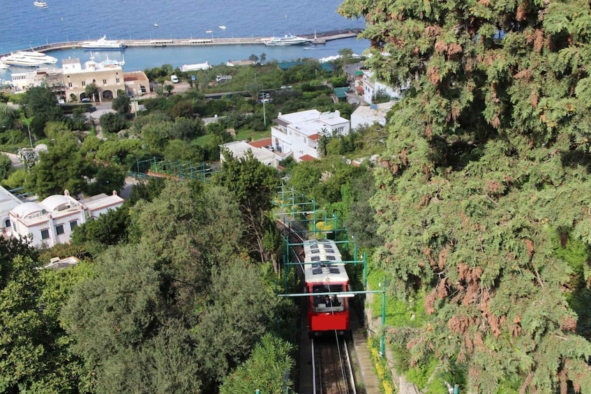 Picture 8 for Activity Capri: DIY Day Trip with Blue Grotto, Funicular & Lunch