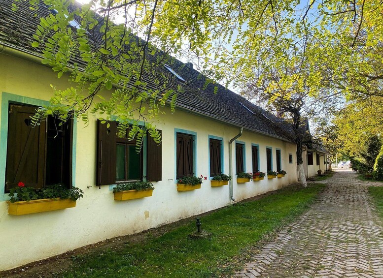 Picture 8 for Activity Private Novi Sad, Sremski Karlovci & Farmer's House