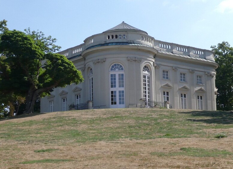 Picture 8 for Activity Braunschweig: Private City Walking Tour with certified Guide