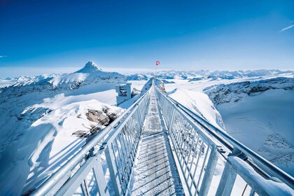 Excursion d'une journée sur la Riviera Col du Pillon et Glacier 3000