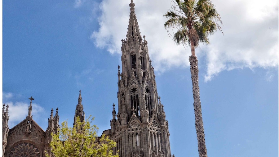 From Las Palmas: Full-Day Tour of the North