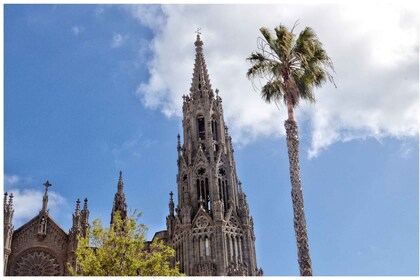 Desde Las Palmas: tour de un día por el norte