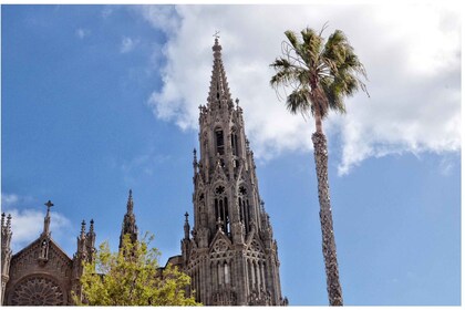 Desde Las Palmas: Excursión de un día por el Norte