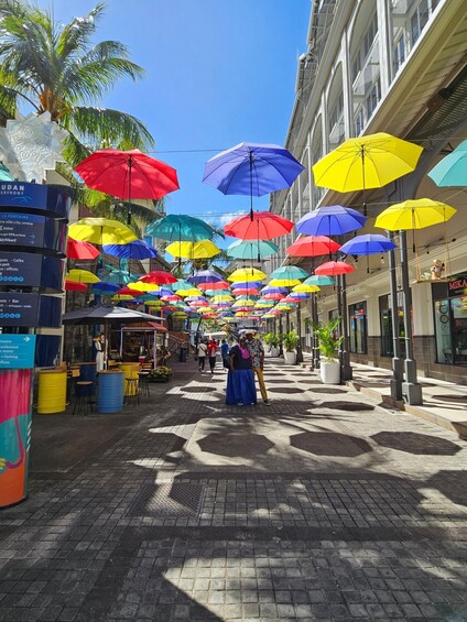 Picture 7 for Activity Port Louis: Mont Choisy, Botanical Garden, and Church Tour