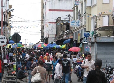 Port Louis: Mont Choisy, botanisk hage og omvisning i kirken