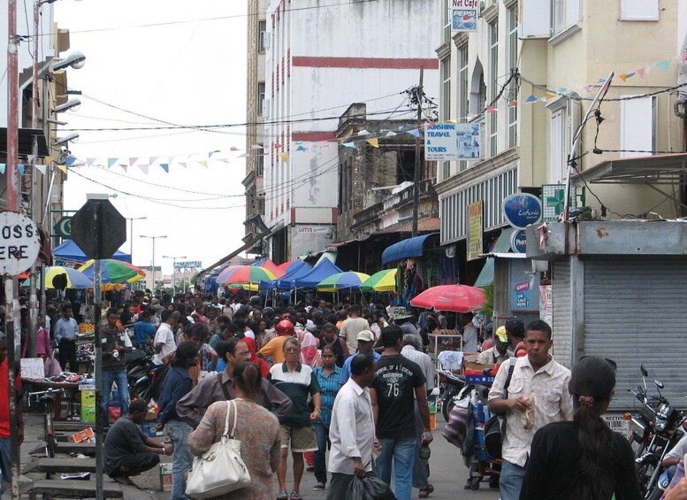 Port Louis: Mont Choisy, Botanical Garden, and Church Tour