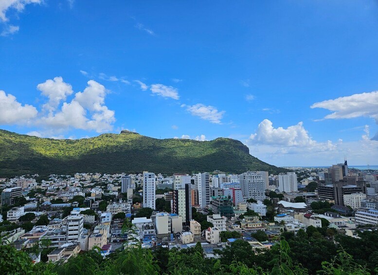 Picture 6 for Activity Port Louis: Mont Choisy, Botanical Garden, and Church Tour