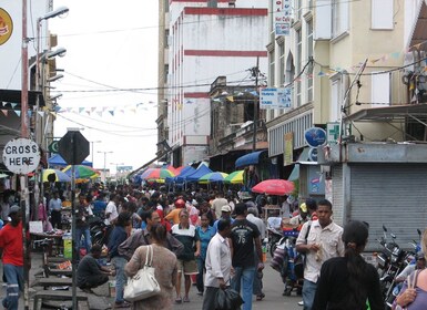 Port Louis: Mont Choisy, botanisk hage og omvisning i kirken