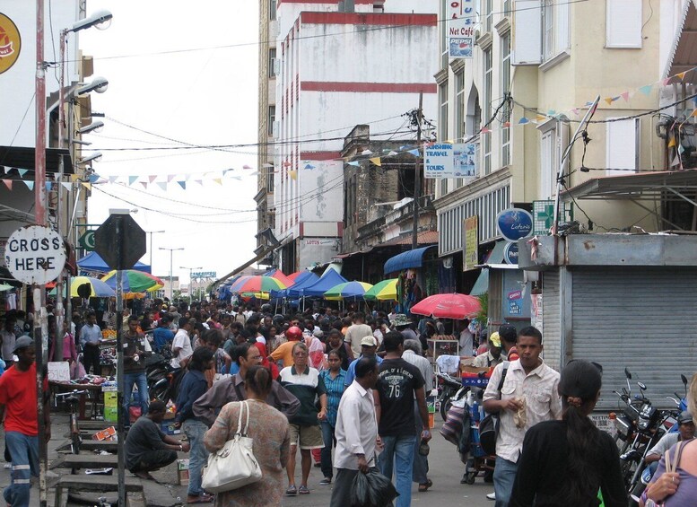 Port Louis: Mont Choisy, Botanical Garden, and Church Tour