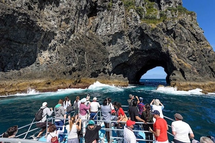 Auckland: Bay of Islands Tour with Waitangi Treaty Grounds