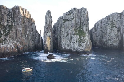 Tasman Peninsula Day Trip with Cruise & Devils from Hobart