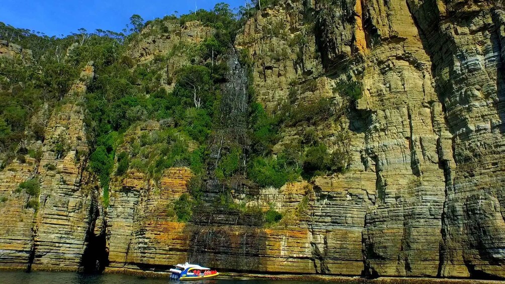 Picture 2 for Activity Tasman Peninsula Day Trip with Cruise & Devils from Hobart