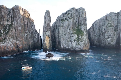Tasman Peninsula Day Trip with Cruise & Devils from Hobart
