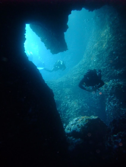Picture 4 for Activity Dubrovnik: 1-Day Diving Package