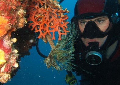 Dubrovnik: paquete de buceo de 1 día