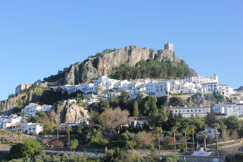 Picture 12 for Activity From Seville: Full-Day Private Tour to Ronda