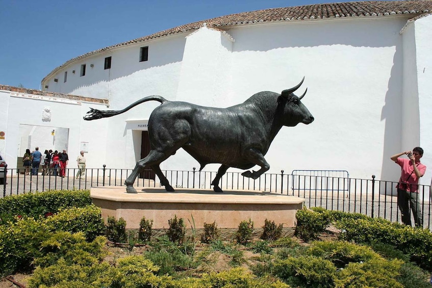 Picture 6 for Activity From Seville: Full-Day Private Tour to Ronda