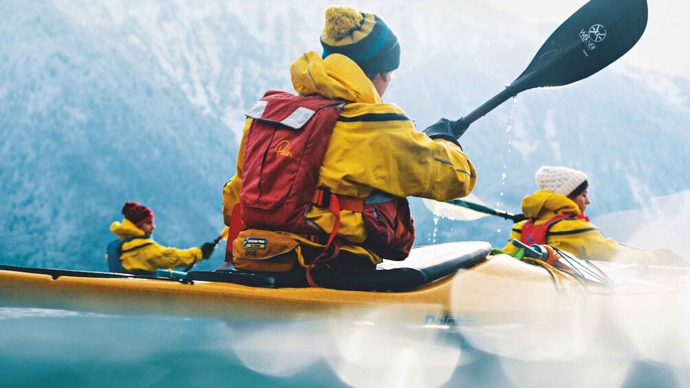 Picture 9 for Activity Interlaken: Winter Kayak Tour on Lake Brienz