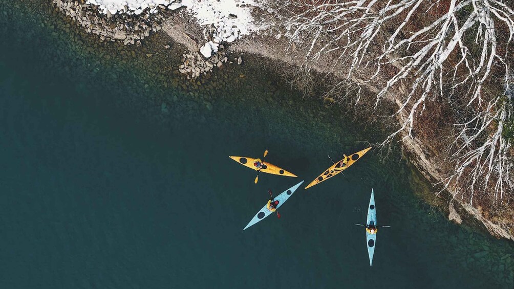 Picture 5 for Activity Interlaken: Winter Kayak Tour on Lake Brienz