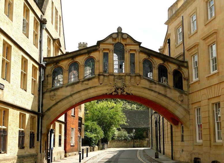 Picture 2 for Activity Oxford: Official University and City Walking Tour