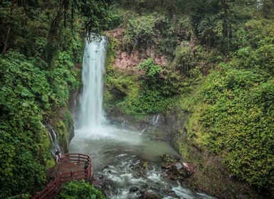 San José: La Paz Waterfall Gardens Half-Day Tour