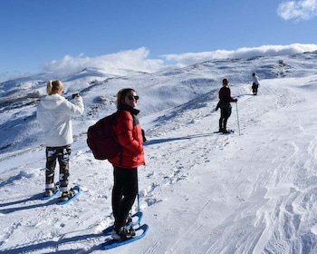 Sierra Nevada: Snowshoe Hiking Tour