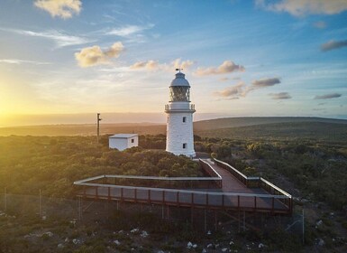 Dunsborough: Cape Naturaliste Lighthouse Guided Tour