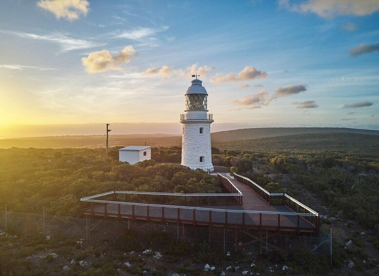 Dunsborough: Cape Naturaliste Lighthouse Guided Tour