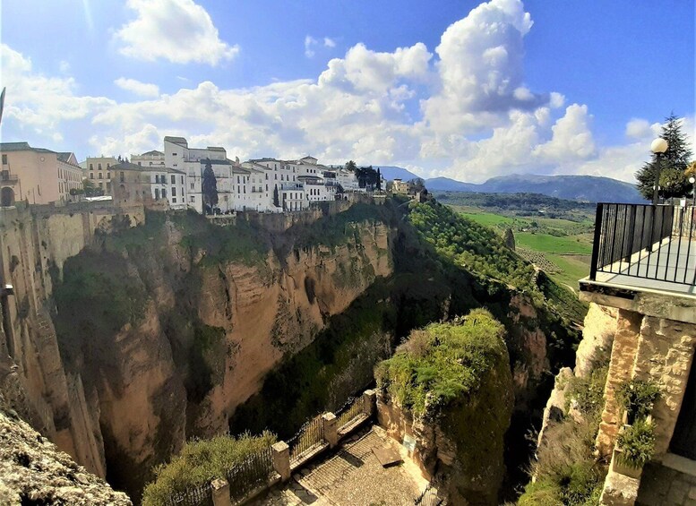 Picture 9 for Activity From Costa del Sol: Private Ronda Tour